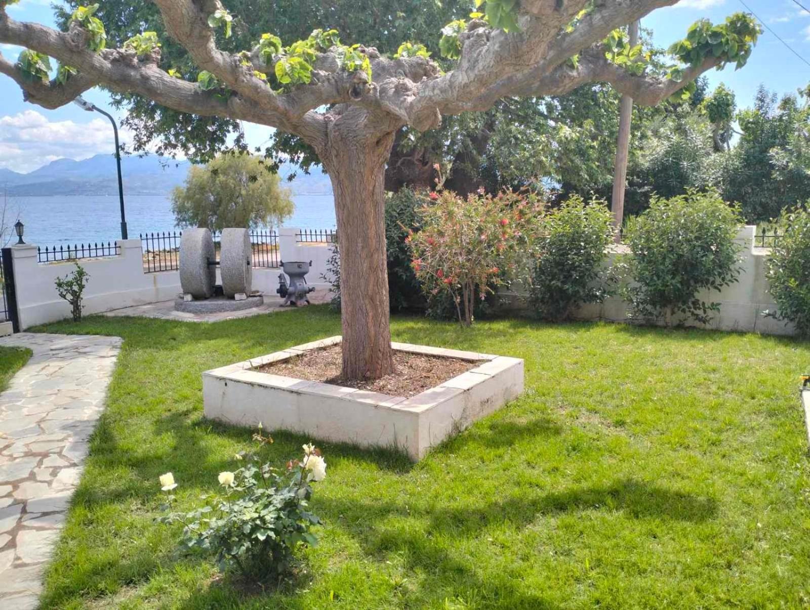 Tas Millstone Seaside House *